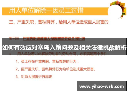 如何有效应对塞鸟入籍问题及相关法律挑战解析